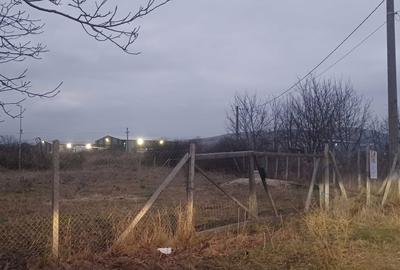 Spațiu comercial, în Bărăbanț - 1