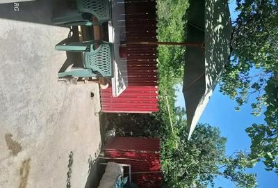 Casă cu 4 camere cu Teren 1000 Mp în Măstăcani - 3