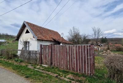 Casă în Monoroștia - 4