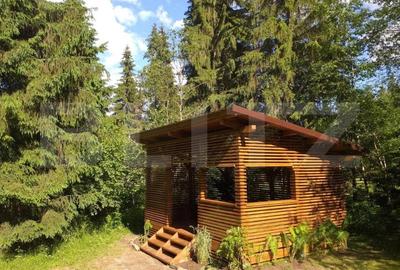 Cabana  cu teren 1364mp, zona Bucin Cabana  cu teren 1364mp, zona Bucin - 10