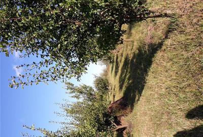 Casă cu 3 camere în Viile Satu Mare - 5