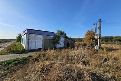 Hala industriala (1000 mp) si teren (4000 mp), Scornicesti, Trafo - 5