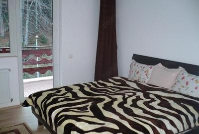 Predeal-Vila de vacanta pretabil pensiune - 14