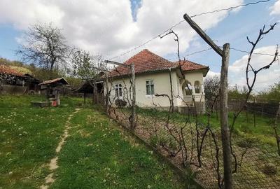 Casă cu 4 camere cu Teren 4212 Mp în Lupșa de Sus - 1