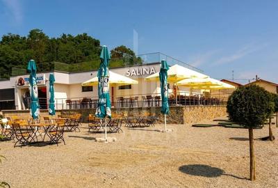 Afacere Profitabilă de Vânzare–Salină Artificială Funcțională în Ocna Sibiului - 4