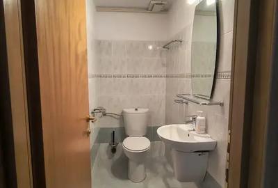 Apartament cu 3 camere decomandat, mobilat în Herăstrău - 10
