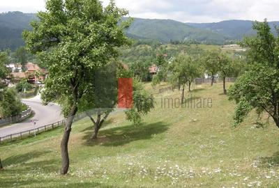 Teren de 3214 mp, în Rucăr - 4
