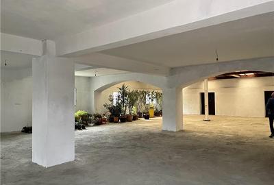 Spațiu comercial, de 270 mp, în Dâmbovița - 4