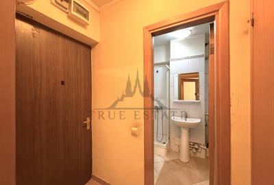 Garsoniera Banu Manta cu vedere pe spate - 15