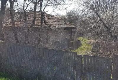 Casa ?i teren in comuna Valcele sat Olteni Casa ?i teren in comuna Valcele sat Olteni - 3