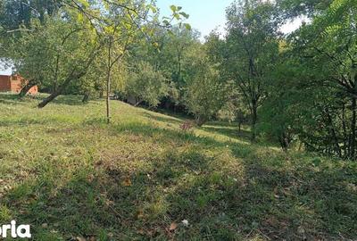 Teren de 2000 mp, în Central - 9