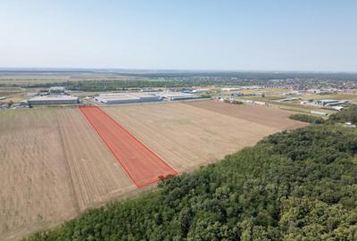 Teren Vanzare Intravilan Branesti investitie Zona Industrial - 12