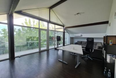 Vila Exclusivista Tartasesti - Mogosoaia - 24