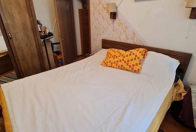 Apartament cu 3 camere decomandat în Terezian - 10