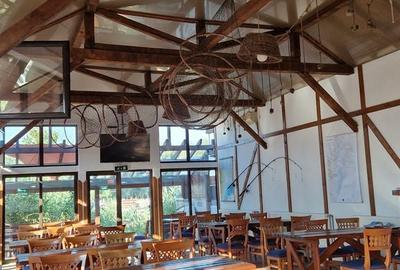 Spațiu comercial, de 2,974 mp, în Sfântu Gheorghe - 15