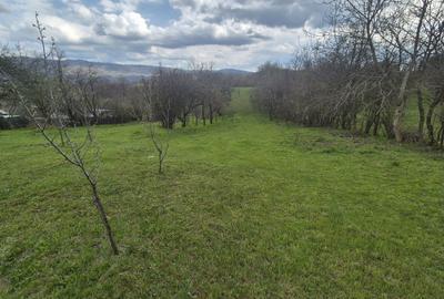 Spațiu comercial, în Făget - 5