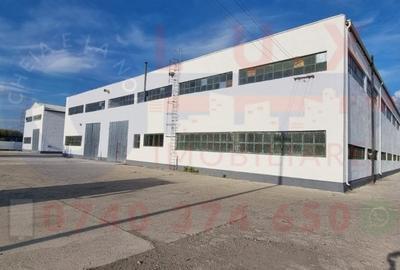 ID 9030 Teren industrial cu hale * Str Bacului - 2