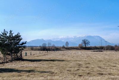 Casă cu 4 camere în Glăjărie - 2