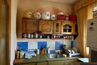 Casă cu 5 camere cu Teren 6328 Mp în Giulești - 10