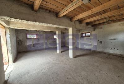 De vanzare teren industrial in Calarasi/Belciugatele - 7