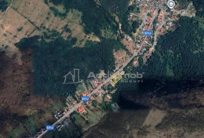 Teren de 1195 mp, în Ciclova Română - 18