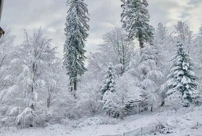 OFERTA in Poiana Brasov, 3 camere de vazare - 11