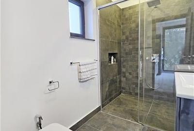 Vila de inchiriat Bragadiru | Piscina | Casa de oaspeti | Teren 1200 mp Vila de inchiriat Bragadiru | Piscina | Casa de oaspeti | Teren 1200 mp - 21