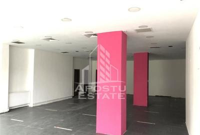 Spatiu Comercial 130mp Zona Circumvalatiunii - 2