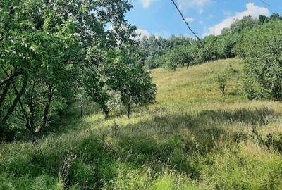 Teren vanzare comuna Cerasu, Prahova - 2