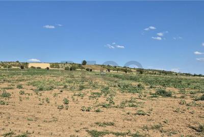 Reco Teren Extravilan Episcopia aproape de Remarkt - 3