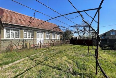 Casă individuală cu 3 camere cu Canalizare în Săbolciu - 3