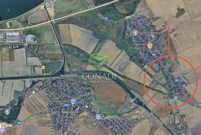 Teren de 37400 mp, în Cernica - 1