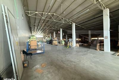 Spațiu comercial, de 3,000 mp, în Careiului - 2