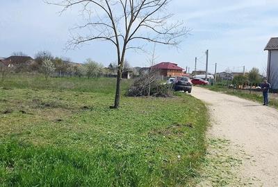 Teren de 500 mp, în Mărăcineni - 2