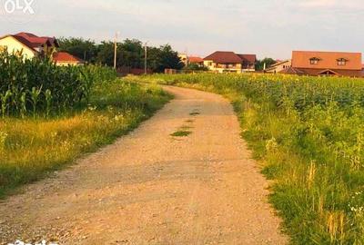 Teren de 3277 mp, în Snagov