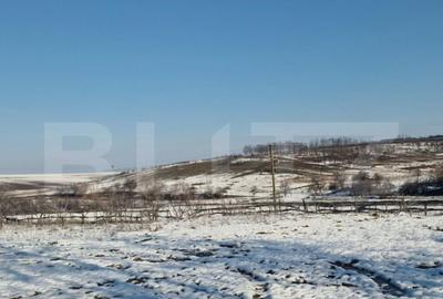 Teren intravilan 7.9 ha. Sandra - 5