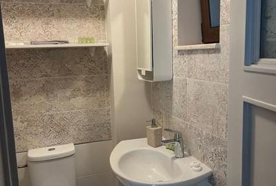 Oportunitate-Kiseleff, vila renovată D+P+E+M - 20