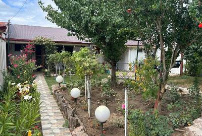 Casa de vanzare in Calafat Casa de vanzare in Calafat - 8