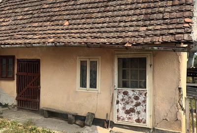 Casa de vanzare Tarnova jud arad - 8