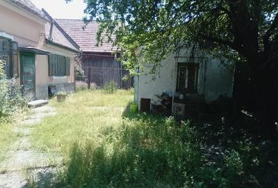 Casă cu 3 camere cu Canalizare în Turnișor - 3