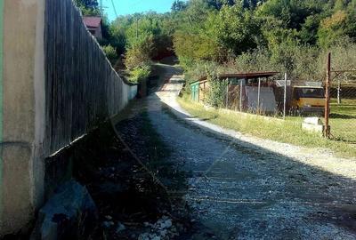 Teren Construcții intravilan de 96279 mp, în Bujoreni - 3