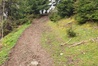 Teren de 2133 mp, în Muntele Rece - 2