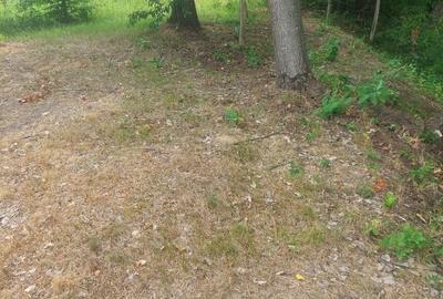 Spațiu comercial, în Curtea de Argeș - 3