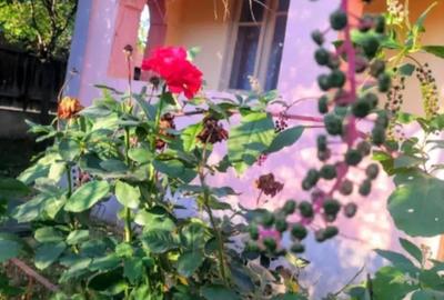 Casă cu 3 camere în Ciorani - 3