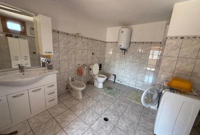 De vanzare Casa + Teren 3151m2 - 5