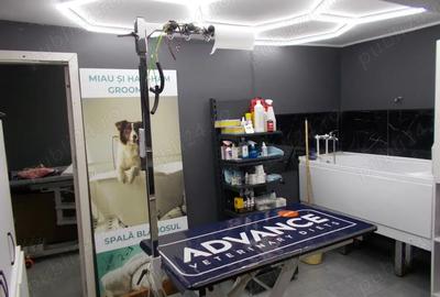 Casă cu 5 camere cu Teren 1670 Mp în Giarmata - 15