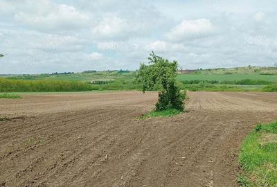 Vind casa cu gradina - 1