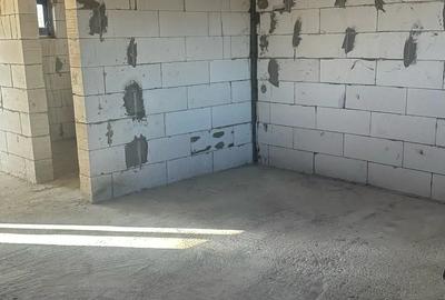 Case de vanzare in Dr Tr Severin, cartier Banovita - 7