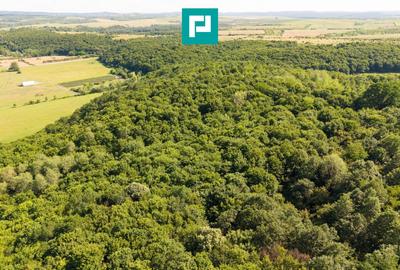 Teren agricol extravilan de 22900 mp, în Exterior Sud - 18