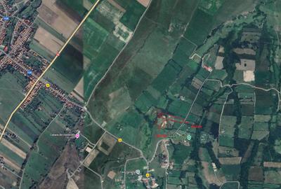 Teren intravilan 3 parcele in total 13.111 mp Utilitati - Bran, Sohodol - 5